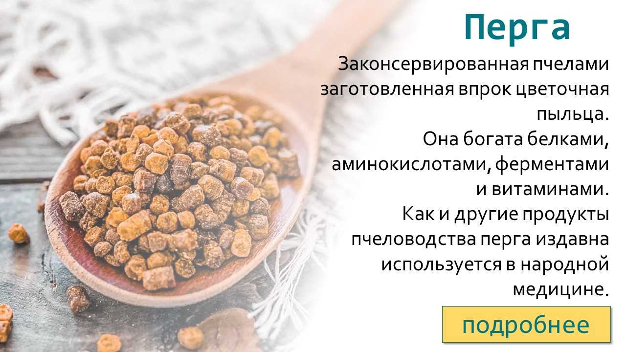 Как хранить пергу в домашних условиях, срок годности, правила