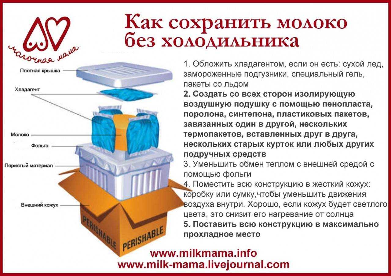 Сколько хранится домашнее молоко: в какой таре лучше хранить, сроки хранения в холодильнике, морозилке, как увеличить время годности?