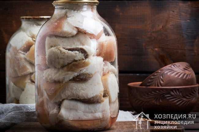 Как хранить сало: соленое, копченое, после засолки