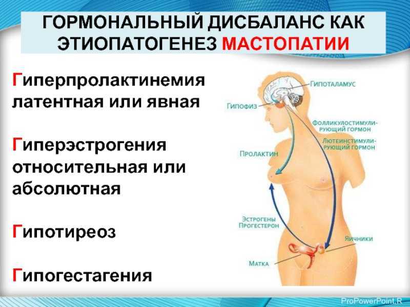 В какой курице нет антибиотиков?