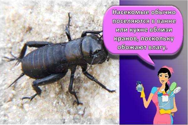 Что делать если по ночам приходит домовой, как узнать причину и устранить проблему