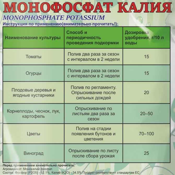 Чем и как можно подкормить томаты во время плодоношения.