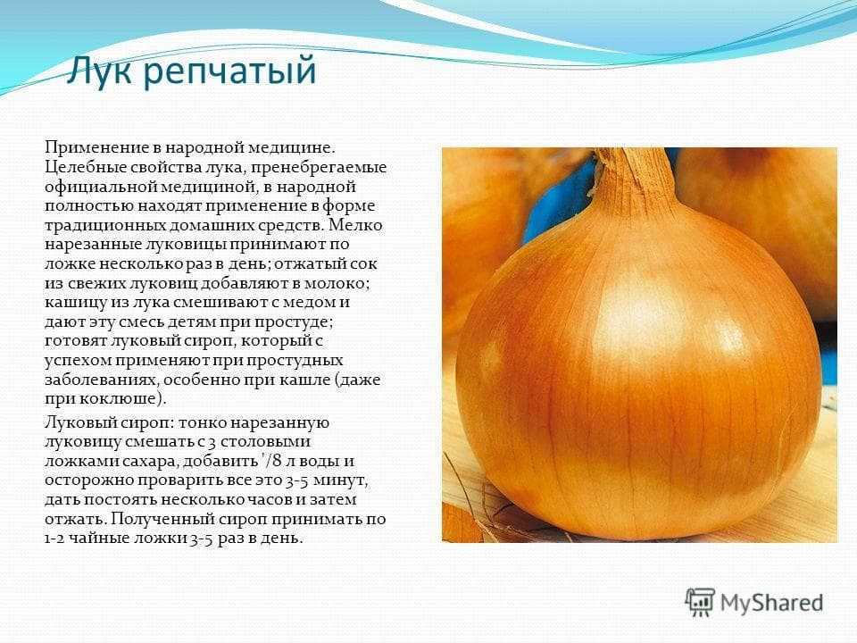 Луковая шелуха супер средство для огорода | советы садоводам