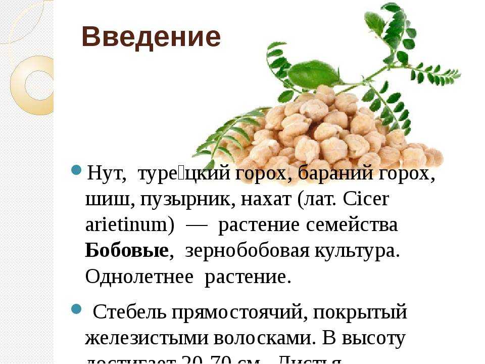 Что такое нут – описание культуры, калорийность и БЖУ Для приготовления каких блюд подходит и чем отличается от гороха