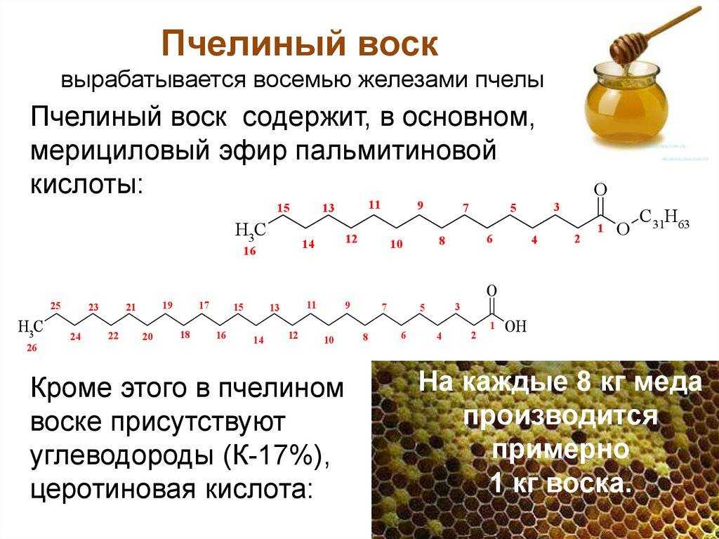 Пчелиный воск: применение в народной медицине. чем полезен пчелиный воск.