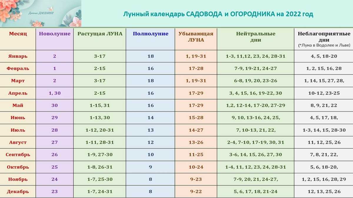 Когда солить капусту на зиму по народным приметам: в октябре или ноябре