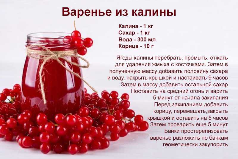 Плодовые сорта калины. названия с описаниями и фото — ботаничка