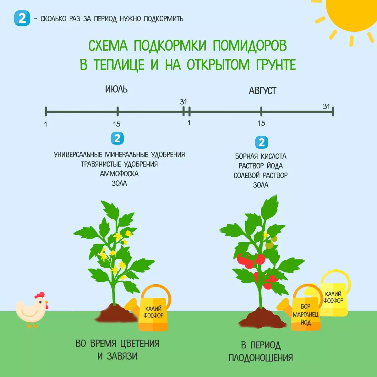Чем удобрить землю осенью под помидоры