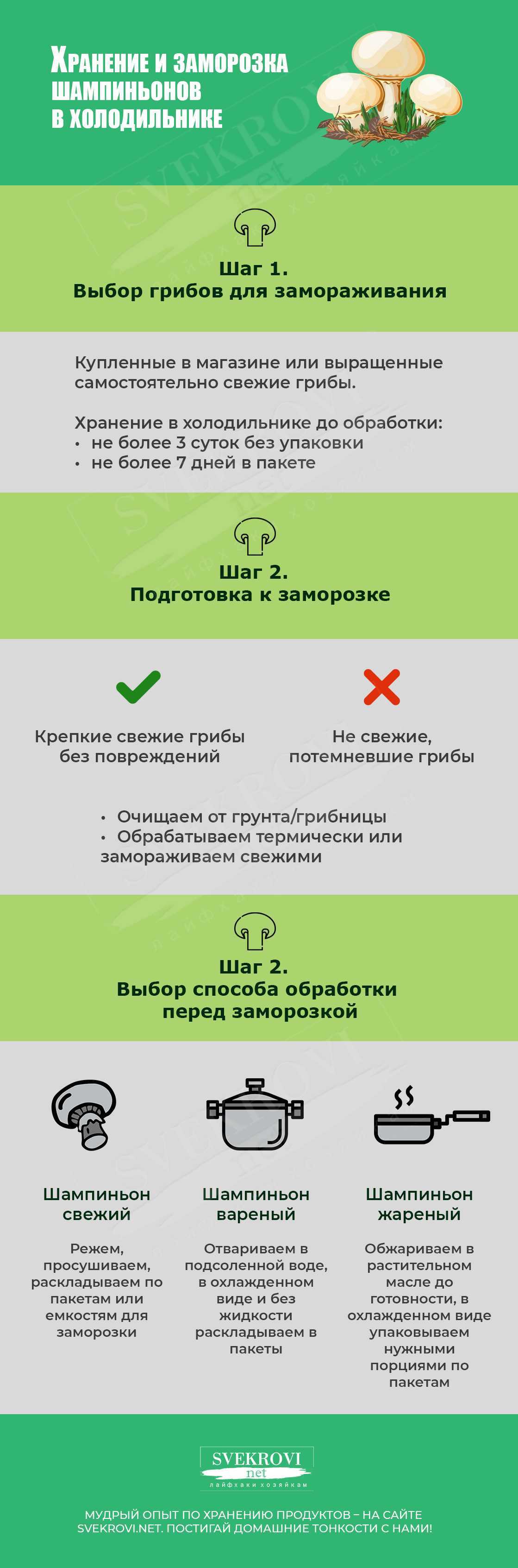 Как хранить свежие грибы в домашних условиях в холодильнике после сбора и чистки