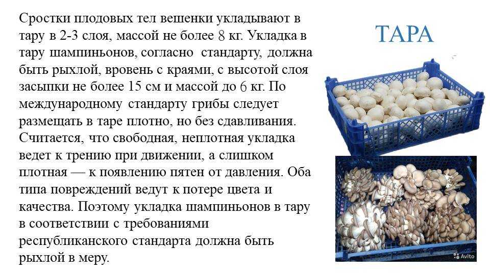 Домашняя консервация: где, как и сколько хранить соленья, варенья и маринады | огородники