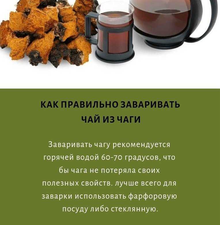 Как правильно хранить чагу  | что и как хранить