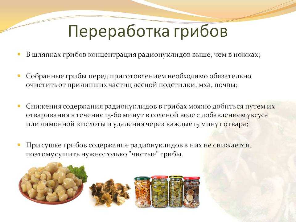 Как правильно сушить белые грибы