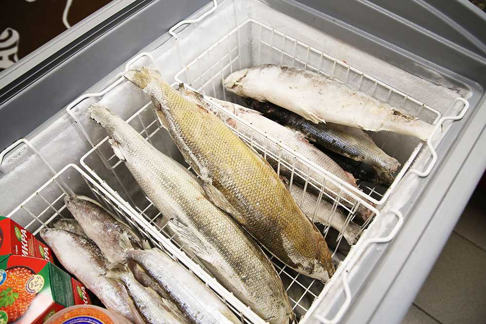 Сроки хранения замороженных продуктов - моя живая еда