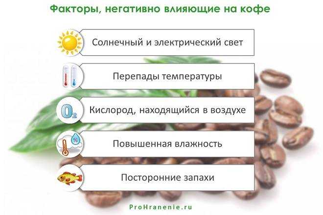 Как хранить кофе в зёрнах: срок годности, секреты хранения