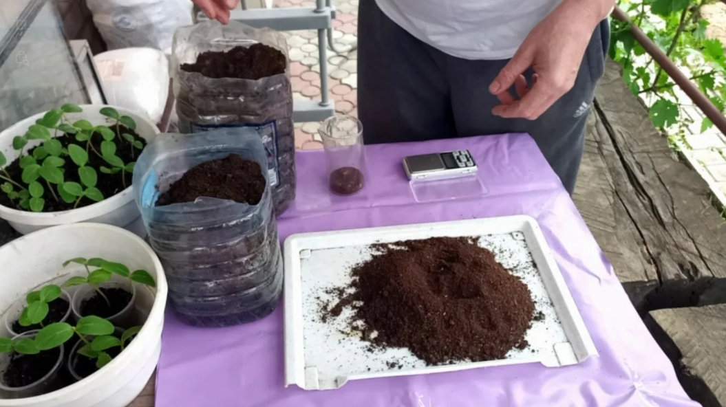 Удобрение из кофейной гущи — для комнатных растений и как применять
