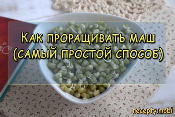 Крупа маш: полезные свойства и противопоказания, отзывы