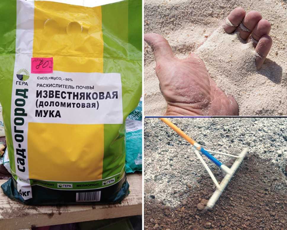 Доломитовая мука: как использовать в огороде, инструкция по применению
