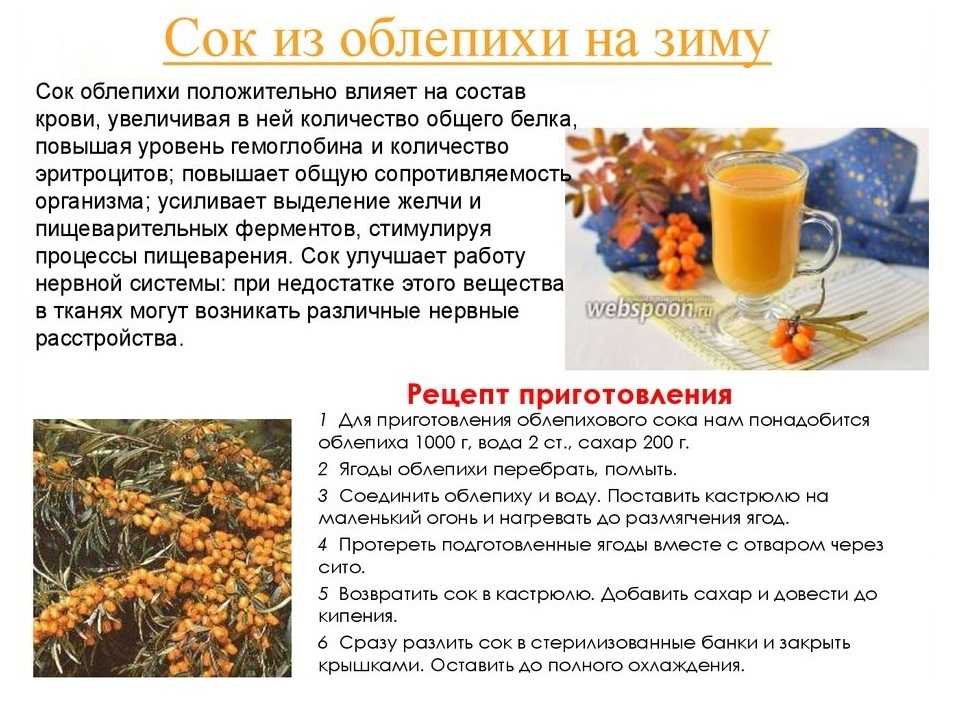 Сок из облепихи – 5 рецептов на зиму в домашних условиях с пошаговыми фото