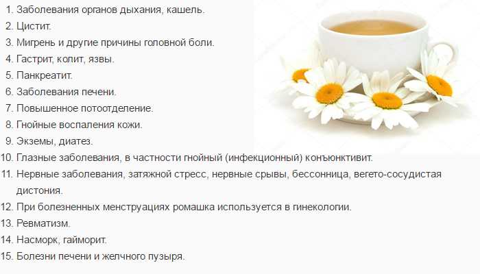 Ромашка аптечная: лечебные свойства и противопоказания