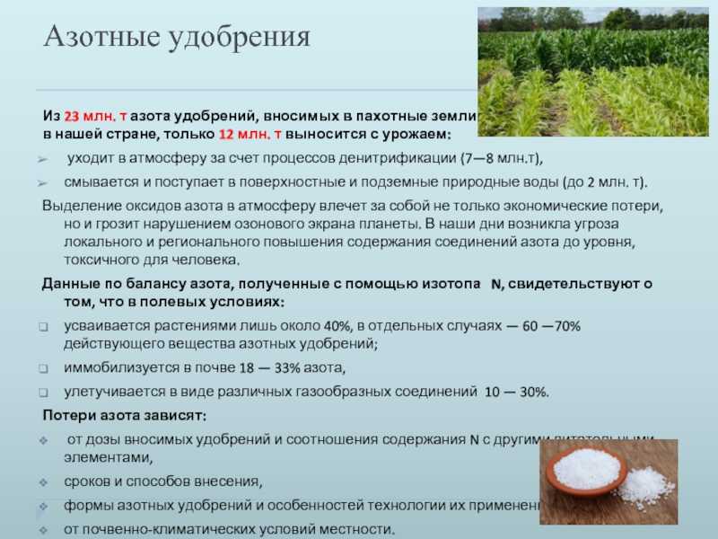 Азотные удобрении: виды азотсодержащих для растений, азотистые в домашних условиях, для комнатных цветов, применение