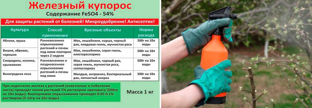 Советы, как подготовить землю в теплице к зиме