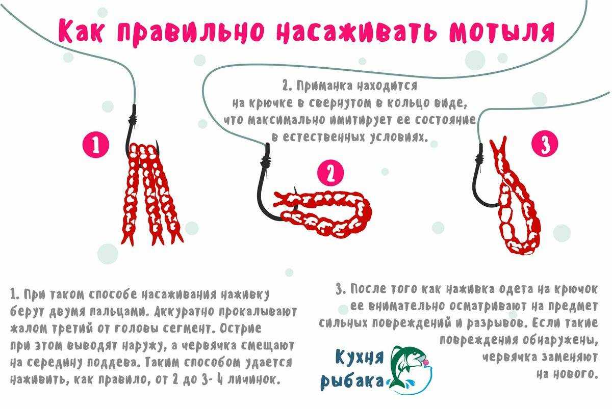 Как правильно хранить мотыля для рыбалки в домашних условиях, сохранить живым дома долго?