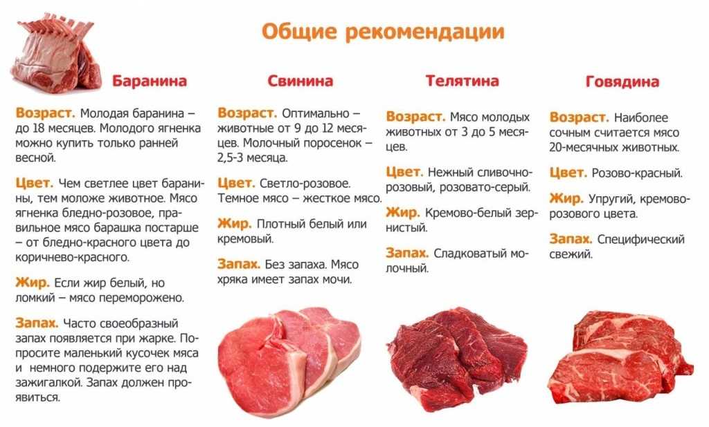 Почему нельзя варить замороженное мясо - red fox day