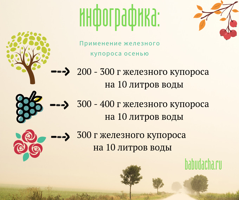 Железный купорос – инструкция по применению в садоводстве