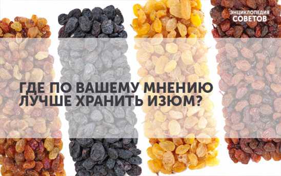 Как правильно хранить изюм в домашних условиях: проверенные способы
