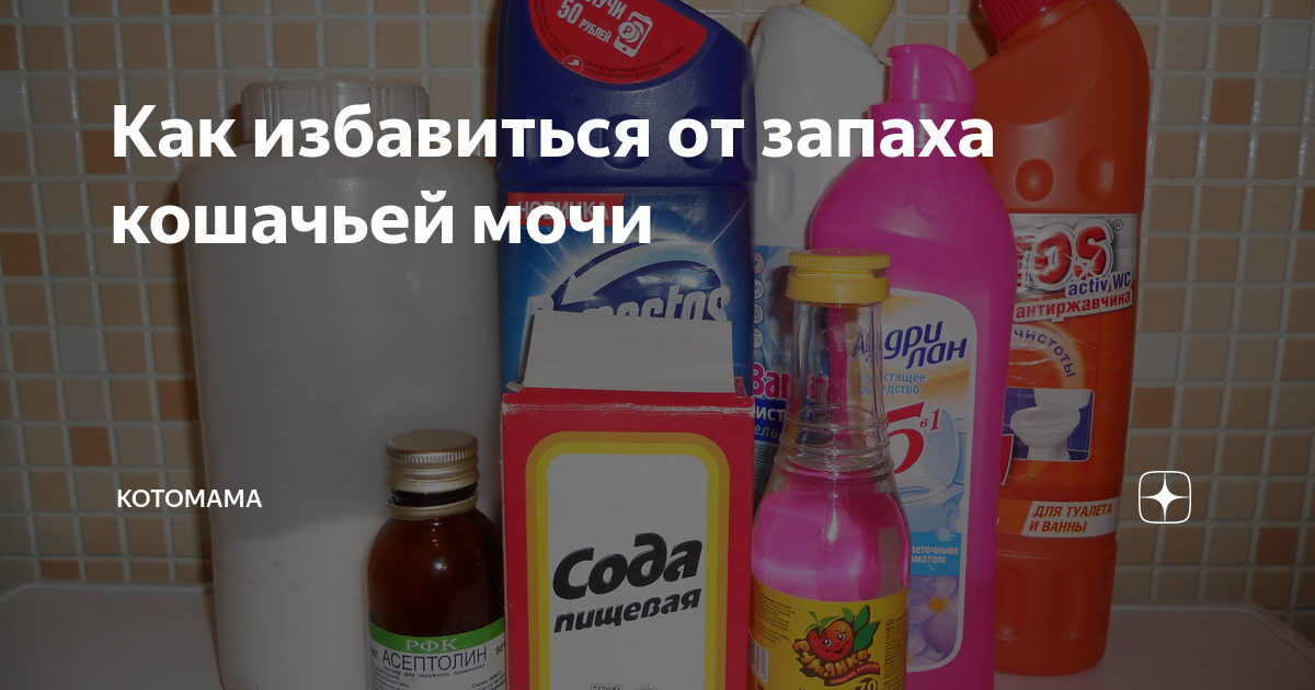 Как избавиться от запаха кошачьей мочи в обуви в домашних условиях