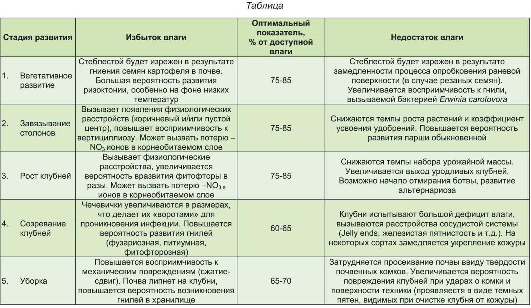 Обработка чеснока перед посадкой осенью под зиму