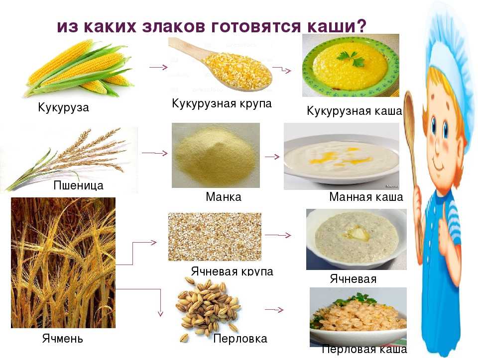 Перловка: что это такое, из чего делают, польза и вред крупы