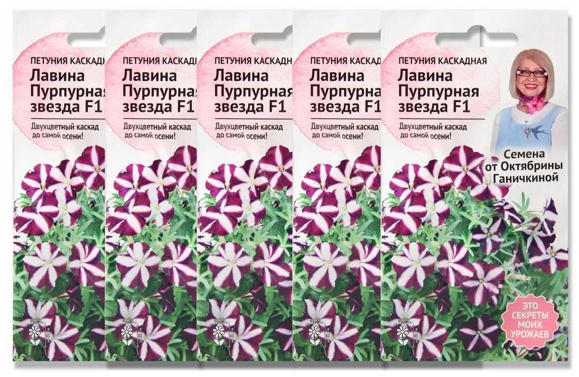 Как вырастить рассаду петунии из семян в домашних условиях: когда сеять и правильно сажать в грунт, чем можно ее подкармливать, а также советы по уходу и фотодача эксперт